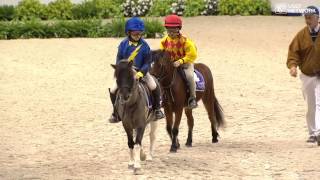 Shetland Pony Race [upl. by Retxed861]