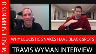 SNAKE GENETICS EXPLAINED TRAVIS WYMAN INTERVIEW [upl. by Notserk993]