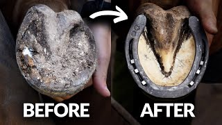 Satisfying Hoof Restoration [upl. by Eidurt99]