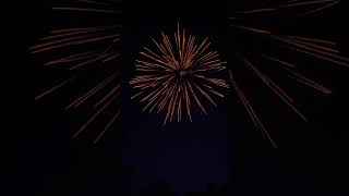 3” Whomping Willow Rockets Fireworks HugeBreaks Rockets DavisFireworks Beautiful [upl. by Nedla]