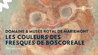 COLLECTIONS • Les fresques de Boscoreale  analyse microchimique [upl. by Novihs]