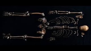 quotNorways 800YearOld WellMan Mystery Solved Ancient DNA Reveals His Identityquot [upl. by Redford407]