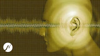 Tinnitus Sound Therapie  Tinnitus heilen amp Ohrgeräusche loswerden 4 Stunden [upl. by Nady104]