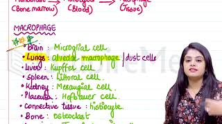 Chronic Inflammation Pathology Rapid Revision For FMGE amp NEET PG By Dr Preeti Sharma [upl. by Geier20]