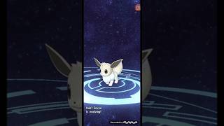 Shiny Eevee 5 of 2024 [upl. by Godard]