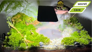 Secret Cave Aquarium  2 Landscaping [upl. by Mcgee803]