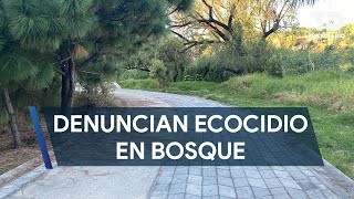 Denuncian ecocidio por descuidos en el Bosque Pedagógico del Agua en Zapopan [upl. by Nnylatsirk]