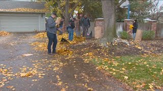 Twin Falls leaf collection [upl. by Garber560]