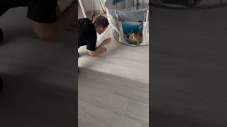 Litigo con Pippa 😂 amore di Papà joeyerina joeydistefano socialdance pippajoeyerina [upl. by Flip]