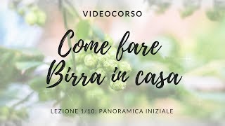 COME FARE BIRRA IN CASA  Videocorso  Ep110 [upl. by Anaujal]