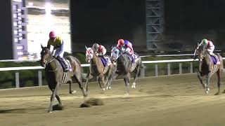 🏇第51回佐賀記念（Jpnlll 2000m）は単勝2番人気のJRA⑪ノットゥルノ（牡5 父ハーツクライ 武豊59）が貫録の違い見せつけ4馬身差で圧勝！重賞2勝目、武豊騎手は佐賀記念13年ぶり6勝目！ [upl. by Francklyn809]