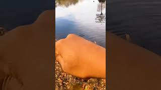 bfs bream fishing redworms dropshot [upl. by Tnilc508]