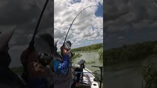 CATCHING GIANT FISH in KARUMBA AUSTRALIA [upl. by Aiuqat]