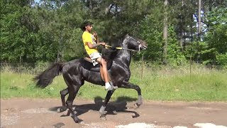 Mt Enterprise Tennessee Walking Horse Trail Ride and Campout quotMASSIVEquot [upl. by Dryden]