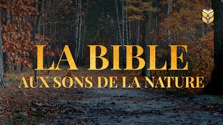 La Bible aux sons de la nature biblevision [upl. by Kristo945]