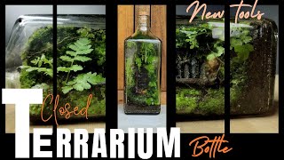 Terrarium making DIY terrarium  Aakri amp Aakri [upl. by Enohpesrep]