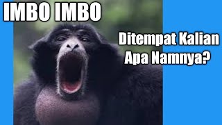 Imbo Imbo dalam Bahasa Mandailing Natal Ada Di Faunaland Ancol [upl. by Thaddeus]