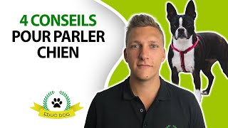 Parler chien  4 conseils pour bien communiquer avec votre chien [upl. by Andrus51]