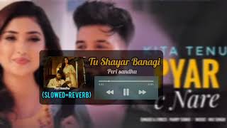 TU SHAYAR BANAAGI SlowedReverb  Parry Sidhu x MixSingh [upl. by Ranita]