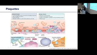 DES hémostase  syndromes hémorragiques [upl. by Ixel]