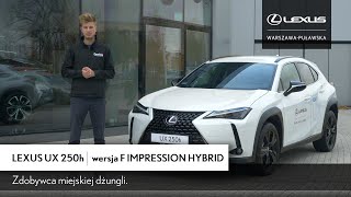 Lexus UX 250h FWD w wersji F Impression [upl. by Lallage493]