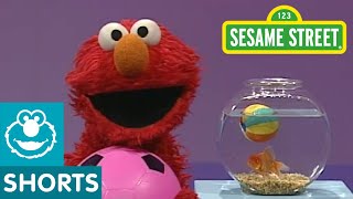 Sesame Street Play Ball  Elmos World [upl. by Schuster]