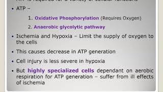 Reversible Hypoxia Ischemic Cell injury [upl. by Atibat736]