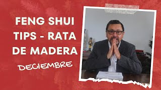 Feng Shui Tips  Estrellas Voladoras Diciembre 2023 Rata de Madera [upl. by Nytsuj]