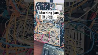 Quick morning session with QuBitElectronix Bloom amp Surface and MoogSynthesizers Subharmonicon [upl. by Tekcirk]