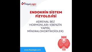 FİZYOLOGİC ENDOKRİN SİSTEM FİZYOLOJİSİADRENAL BEZ HORMONLARI1BENZİN YAPISI MİNERALOKORTİKOİDLER [upl. by Airdnahs]