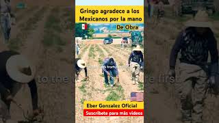 Gringo Agradece a Méxicanos🇲🇽🇺🇸 parati shorts shortsfeed shortvideo mexican fyp mexico usa [upl. by Blunt819]