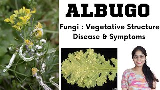 AlbugoWhite Rust Fungi BSc 1st year in hindi [upl. by Stieglitz386]