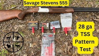 28 ga Pattern Test  Apex Rocky Ridge Nitroand Salt Creek Ammo [upl. by Ydnes258]