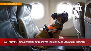 Trámites legales para viajar con tu mascota fuera de Nicaragua [upl. by Leviralc465]