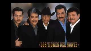 pa pistear tigres del NORTE MIX [upl. by Nyer]