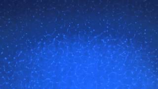 Free Stock Footage Water Caustics Motion Background HD 1080P [upl. by Baalbeer576]