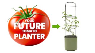 Your NEXT SelfWatering Tomato Planter Pot [upl. by Corly]