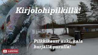 KIRJOLOHI PILKILLÄ VIILEKELAMMELLA  KAUSI AUKI JA KALA HURJALLA PURULLA [upl. by Tabbie554]