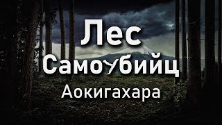 ПУГАЮЩИЕ ТАЙНЫ ЛЕСА АОКИГАХАРА feat SolekX [upl. by Hannala]