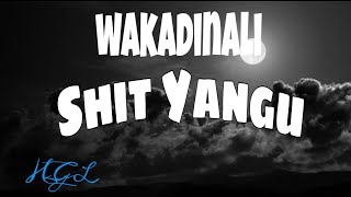 Wakadinali  Shit Yangu Official Lyrics [upl. by Nnylyahs]