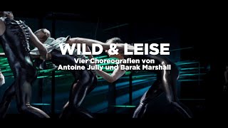 wild amp leise  Ballett  Oldenburgisches Staatstheater [upl. by Biron253]