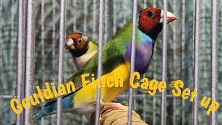 Gouldian Finch Cage Set up [upl. by Ativel]