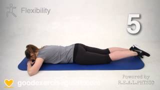 Prone Knee Bend Exercise [upl. by Las377]