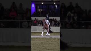 Snoop Dogg Reacting to Dressage 😭💀 shorts fypシ equestrian dressage horse comedy [upl. by Ihsorih]