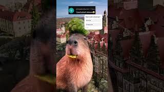 Capybara Praha Republic Czech 🇨🇿 [upl. by Drolyag]