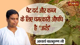 पेट दर्द और कब्ज के लिए चमत्कारी औषधि है quotअरंडquot  Ayurvedic use of Castor  Acharya Balkrishna Ji [upl. by Ivory656]