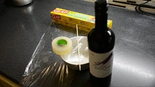 Fruit Fly Trap Best  Red WineFruit Slices [upl. by Pike]