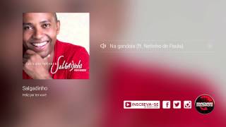 Salgadinho  Na gandaia ft Netinho de Paula álbum Feliz Por Ter Você Oficial [upl. by Percy]