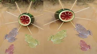 Survival Skills SIMPLE And Very USEFUL with Water Melon bushcraft outdoor camping [upl. by Ahsieuqal800]