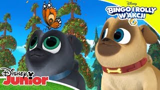 🦋 Mopsiakowe przygody  Bingo i Rolly w akcji  Disney Junior Polska [upl. by Grail]